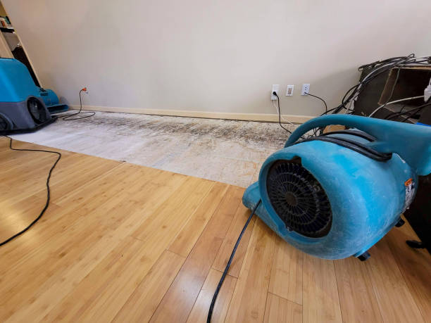Professional Structural Drying technician working in Springfield, SC